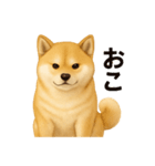 柴犬☆日常会話☆（個別スタンプ：39）