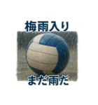 バレーで年間行事（個別スタンプ：19）