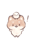 いぬねこうさくまとシマエナガ（個別スタンプ：9）