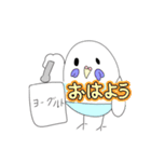 インコちゃんブルー24個のスタンプ（個別スタンプ：14）
