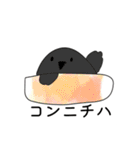 インコちゃんブルー24個のスタンプ（個別スタンプ：15）