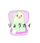 インコちゃんブルー24個のスタンプ（個別スタンプ：16）