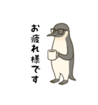 大人ペンギン【日常】スタンプ（個別スタンプ：1）