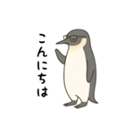 大人ペンギン【日常】スタンプ（個別スタンプ：3）