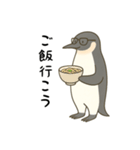 大人ペンギン【日常】スタンプ（個別スタンプ：5）