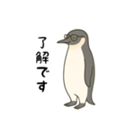 大人ペンギン【日常】スタンプ（個別スタンプ：7）
