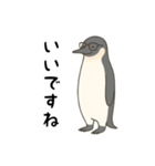大人ペンギン【日常】スタンプ（個別スタンプ：8）