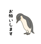 大人ペンギン【日常】スタンプ（個別スタンプ：9）