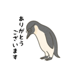 大人ペンギン【日常】スタンプ（個別スタンプ：10）