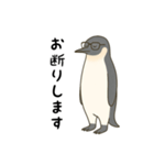 大人ペンギン【日常】スタンプ（個別スタンプ：11）