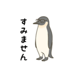大人ペンギン【日常】スタンプ（個別スタンプ：12）