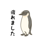 大人ペンギン【日常】スタンプ（個別スタンプ：14）