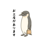 大人ペンギン【日常】スタンプ（個別スタンプ：15）