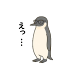 大人ペンギン【日常】スタンプ（個別スタンプ：16）