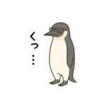 大人ペンギン【日常】スタンプ（個別スタンプ：17）