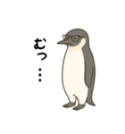 大人ペンギン【日常】スタンプ（個別スタンプ：18）