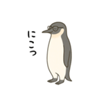 大人ペンギン【日常】スタンプ（個別スタンプ：19）