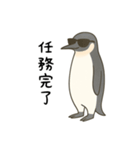 大人ペンギン【日常】スタンプ（個別スタンプ：22）