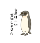 大人ペンギン【日常】スタンプ（個別スタンプ：24）