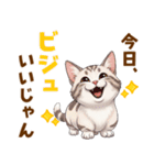 ふわっとマンチカンの毎日メッセージ（個別スタンプ：2）