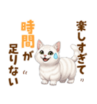 ふわっとマンチカンの毎日メッセージ（個別スタンプ：3）