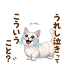 ふわっとマンチカンの毎日メッセージ（個別スタンプ：7）