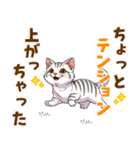 ふわっとマンチカンの毎日メッセージ（個別スタンプ：9）