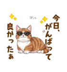 ふわっとマンチカンの毎日メッセージ（個別スタンプ：12）