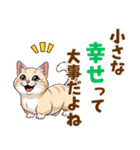 ふわっとマンチカンの毎日メッセージ（個別スタンプ：13）