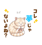 ふわっとマンチカンの毎日メッセージ（個別スタンプ：14）