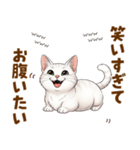 ふわっとマンチカンの毎日メッセージ（個別スタンプ：15）