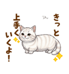 ふわっとマンチカンの毎日メッセージ（個別スタンプ：18）
