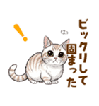 ふわっとマンチカンの毎日メッセージ（個別スタンプ：20）