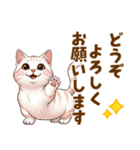 ふわっとマンチカンの毎日メッセージ（個別スタンプ：24）