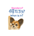 バイリンガルCocoちゃん（個別スタンプ：6）