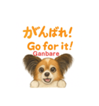 バイリンガルCocoちゃん（個別スタンプ：14）