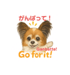バイリンガルCocoちゃん（個別スタンプ：17）