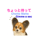 バイリンガルCocoちゃん（個別スタンプ：20）