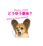 バイリンガルCocoちゃん（個別スタンプ：22）