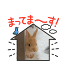 トナくん  2（個別スタンプ：1）