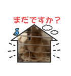 トナくん  2（個別スタンプ：2）