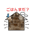 トナくん  2（個別スタンプ：4）
