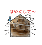 トナくん  2（個別スタンプ：5）