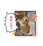 トナくん  2（個別スタンプ：9）