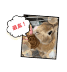 トナくん  2（個別スタンプ：11）
