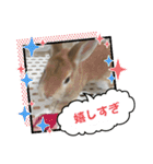 トナくん  2（個別スタンプ：12）