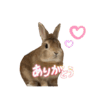 トナくん  2（個別スタンプ：30）