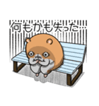 キョムスター 17(不安定で虚無)（個別スタンプ：34）