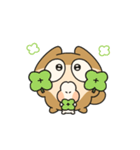 今日もこんにちは！ パンヤです（個別スタンプ：11）