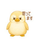 きぴちゃんスタンプ！（個別スタンプ：5）